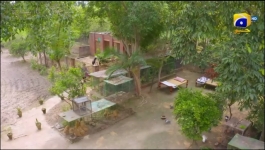 Qalandar Episode 17 - 9th Dec 2022